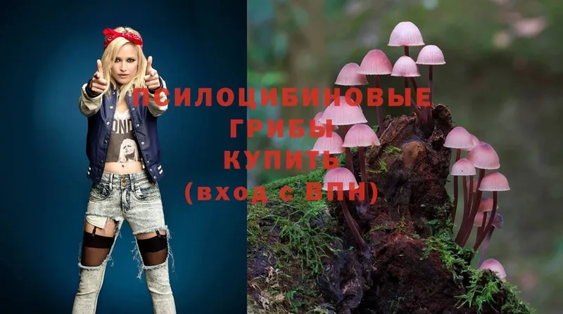 hydra как зайти  цена наркотик  Новоалександровск  Галлюциногенные грибы MAGIC MUSHROOMS 